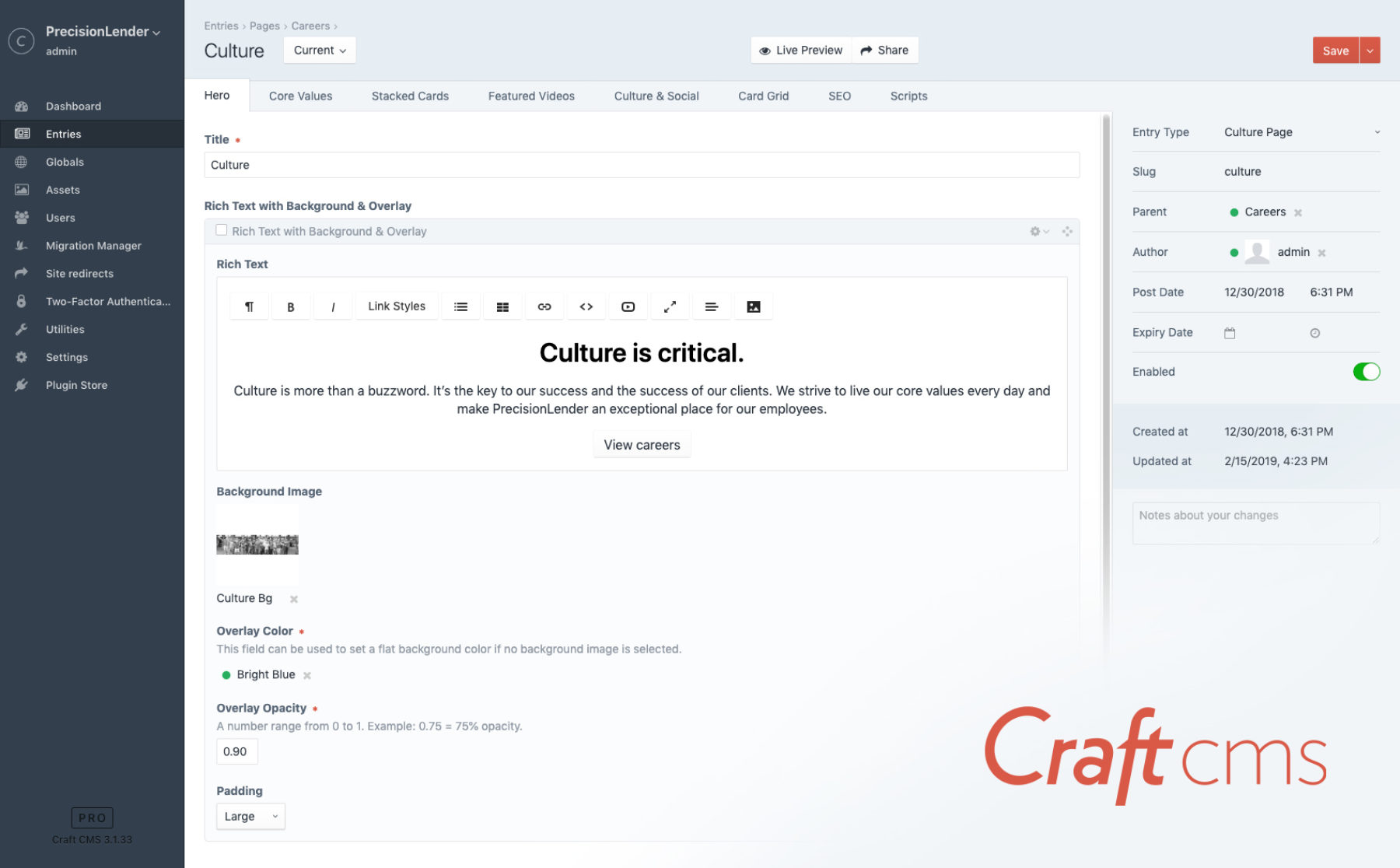 Craft CMS editor view
